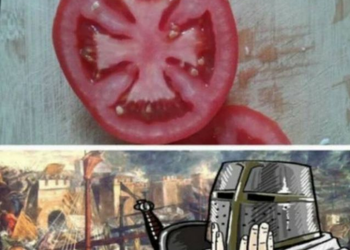 Picdump #01: 10 Imagens Aleatórias e Bizarras Para Salvar o Seu Dia
